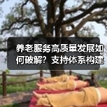 养老服务高质量发展如何破解?支持体系构建关键(图3) 养老服务高质量发展如何破解?支持体系构建关键(图3)