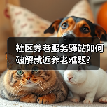 社区养老服务驿站如何破解就近养老难题?(图3) 社区养老服务驿站如何破解就近养老难题?(图3)