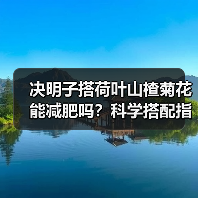 决明子搭荷叶山楂菊花能减肥吗？科学搭配指南（图4）