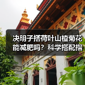 决明子搭荷叶山楂菊花能减肥吗？科学搭配指南（图1）