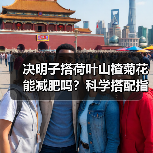 决明子搭荷叶山楂菊花能减肥吗？科学搭配指南（图2）
