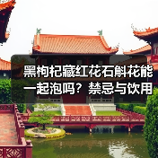 黑枸杞藏红花石斛花能一起泡吗？禁忌与饮用建议（图1）