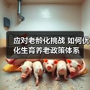 应对老龄化挑战 如何优化生育养老政策体系（图3）