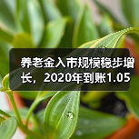 养老金入市规模稳步增长，2020年到账1.05万亿（图4）