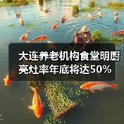 大连养老机构食堂明厨亮灶率年底将达50%（图2）