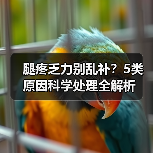 腿疼乏力别乱补？5类原因科学处理全解析（图4）