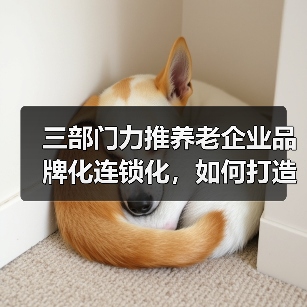 三部门力推养老企业品牌化连锁化，如何打造行业新标杆？（图1）