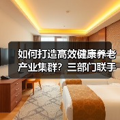 如何打造高效健康养老产业集群？三部门联手推动（图4）