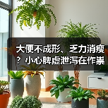大便不成形、乏力消瘦？小心脾虚泄泻在作祟（图2）