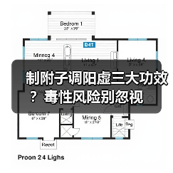 制附子调阳虚三大功效？毒性风险别忽视（图2）