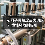制附子调阳虚三大功效？毒性风险别忽视（图4）