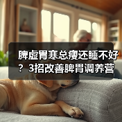 脾虚胃寒总瘦还睡不好？3招改善脾胃调养营养（图1）
