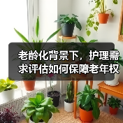 老龄化背景下，护理需求评估如何保障老年权益？（图1）