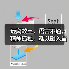 远离故土,语言不通,精神孤独,难以融入当地—— 海外华人养老,难题咋解?(图1) 远离故土,语言不通,精神孤独,难以融入当地—— 海外华人养老,难题咋解?(图1)