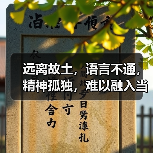 远离故土,语言不通,精神孤独,难以融入当地—— 海外华人养老,难题咋解?(图4) 远离故土,语言不通,精神孤独,难以融入当地—— 海外华人养老,难题咋解?(图4)