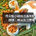 耳朵贴小磁珠改善失眠:原理、用法及注意事项(图1) 耳朵贴小磁珠改善失眠:原理、用法及注意事项(图1)