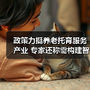 政策力挺养老托育服务产业 专家还称需构建智能化社区养老服务平台(图4) 政策力挺养老托育服务产业 专家还称需构建智能化社区养老服务平台(图4)