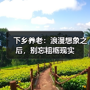 下乡养老:浪漫想象之后,别忘粗粝现实(图2) 下乡养老:浪漫想象之后,别忘粗粝现实(图2)
