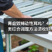 肾虚致搏动性耳鸣？4类综合调理方法请收好（图1）
