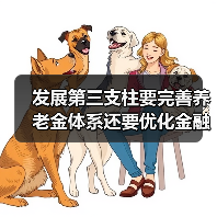发展第三支柱要完善养老金体系还要优化金融结构(图3) 发展第三支柱要完善养老金体系还要优化金融结构(图3)