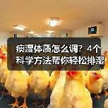 痰湿体质怎么调？4个科学方法帮你轻松排湿化痰（图2）