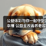 公益体彩与你一起守望幸福 公益金改善养老服务设施基本条件(图2) 公益体彩与你一起守望幸福 公益金改善养老服务设施基本条件(图2)