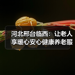 河北邢台临西:让老人享暖心安心健康养老服务(图4) 河北邢台临西:让老人享暖心安心健康养老服务(图4)