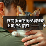 在高质量平衡发展征途上呵护夕阳红 ——“十三五”时期养老服务发展综述（图4）
