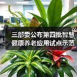 三部委公布第四批智慧健康养老应用试点示范名单（图3）