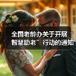 全国老龄办关于开展“智慧助老”行动的通知(图3) 全国老龄办关于开展“智慧助老”行动的通知(图3)