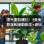 湿气重别硬扛!3类食物温和辅助除湿+避坑指南(图2) 湿气重别硬扛!3类食物温和辅助除湿+避坑指南(图2)