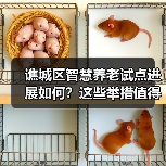 谯城区智慧养老试点进展如何?这些举措值得期待(图4) 谯城区智慧养老试点进展如何?这些举措值得期待(图4)