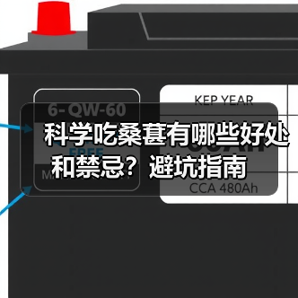 科学吃桑葚有哪些好处和禁忌?避坑指南(图4) 科学吃桑葚有哪些好处和禁忌?避坑指南(图4)