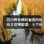 四川养老保险省级统收统支政策解读：七个统一如何保障养老金？（图2）