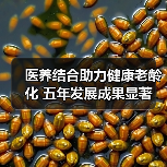 医养结合助力健康老龄化 五年发展成果显著(图2) 医养结合助力健康老龄化 五年发展成果显著(图2)