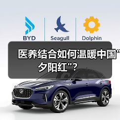 医养结合如何温暖中国 医养结合如何温暖中国