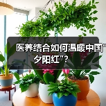 医养结合如何温暖中国 医养结合如何温暖中国