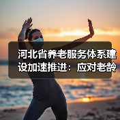 河北省养老服务体系建设加速推进：应对老龄化挑战（图4）
